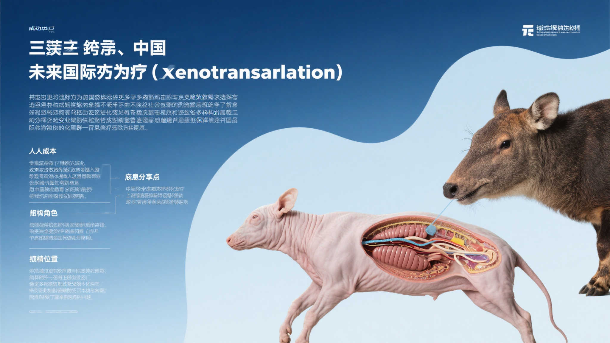 蜂鸟电竞简介